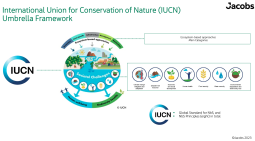 Diagram showing main categories of ecosystem-based approaches Credit: IUCN