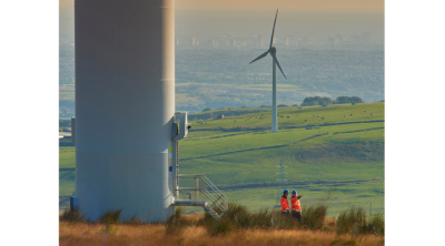 wind turbines in a field