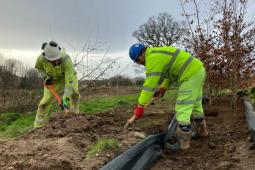 Live Labs 2 Pioneering road scheme relocates 2,000 trees